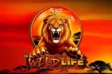 The Wild Life